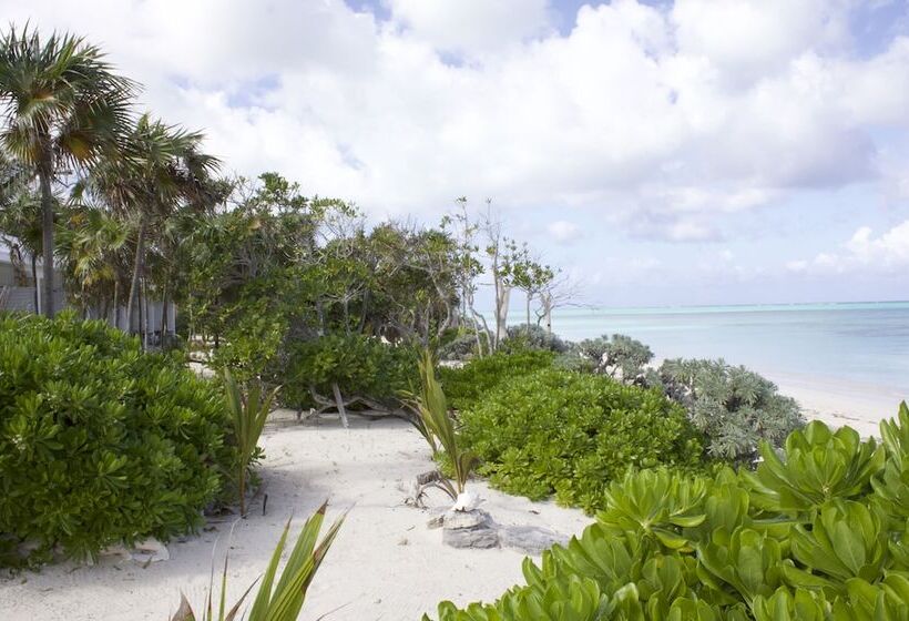 هتل Pelican Beach