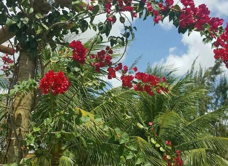 בית מלון כפרי Pousada Macamirim