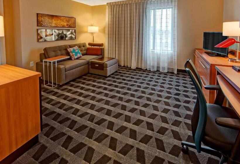 酒店 Towneplace Suites By Marriott Hattiesburg