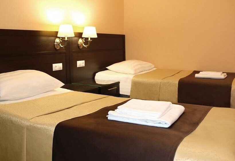 Park   Hotel Pushkin