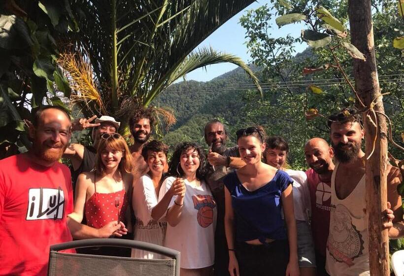 مبيت وإفطار @gatetothewild