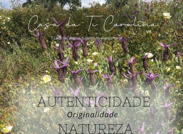 فندق Casa Da Ti Carolina