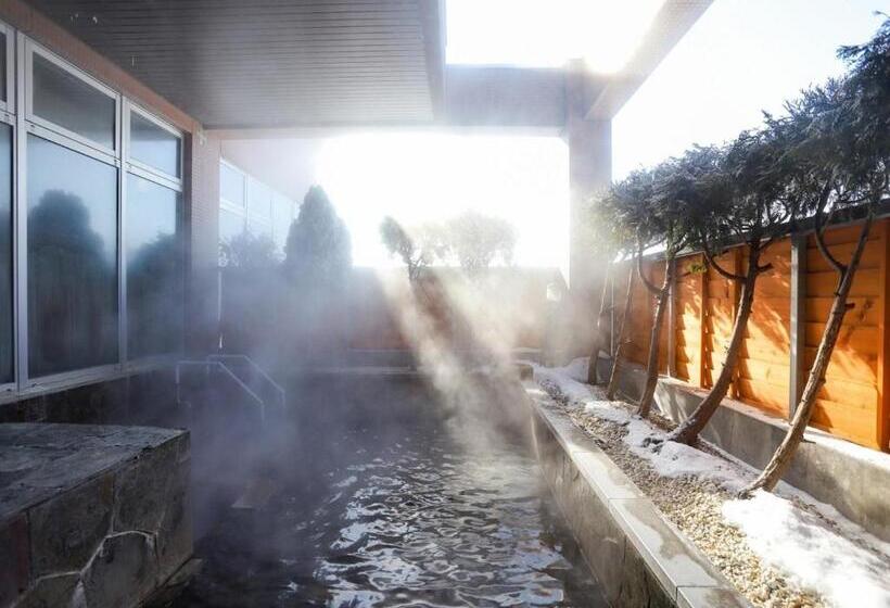ホテル Japanese Auberge Plaza Ryokufu Natural Hot Spring   Vacation Stay 03265v