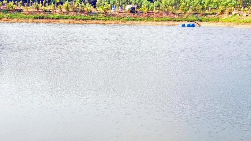 酒店 Agastya Lake View Coorg Homestay