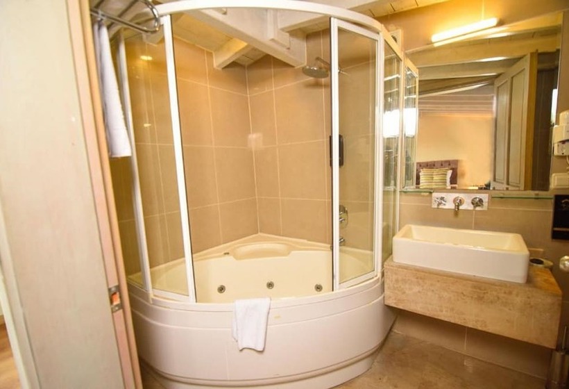 هتل Alp Pasa Gazetta   Special Class