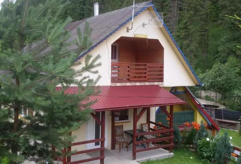 Pensiune Cristina Lacu Rosu