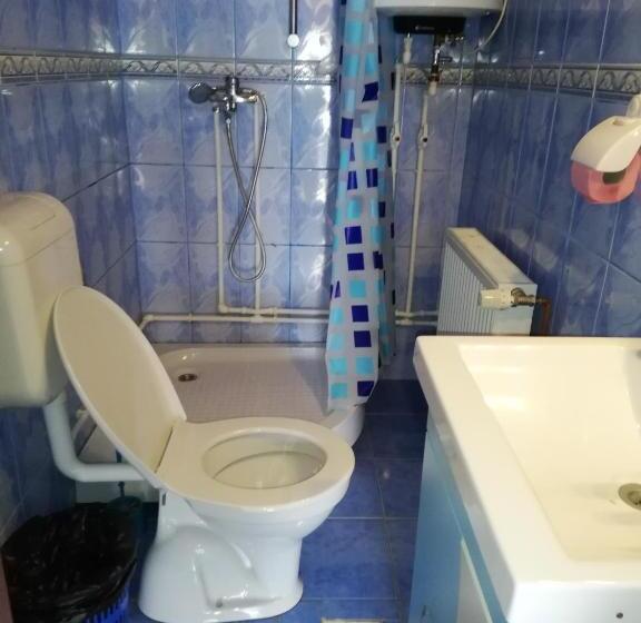 Pensiune Cristina Lacu Rosu