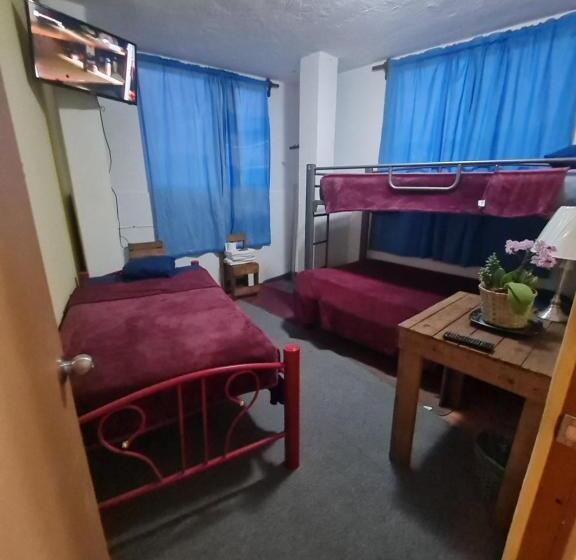 Pansiyon Hostal Del Elefante