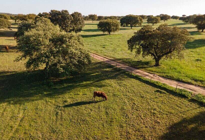 هتل Vila Gale Collection Monte Do Vilar