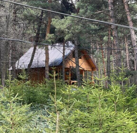 تختخواب و صبحانه Yeghevni Rest House