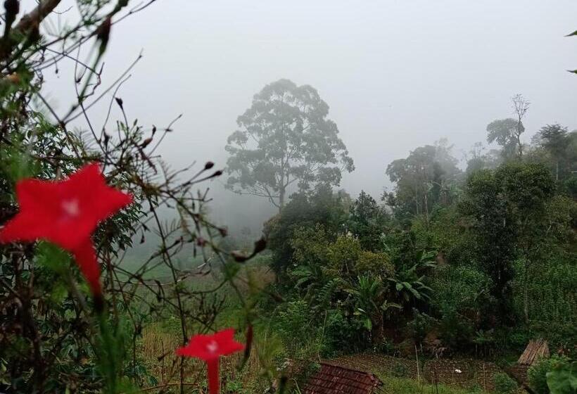 פנסיון Ella Gama Village Guest House