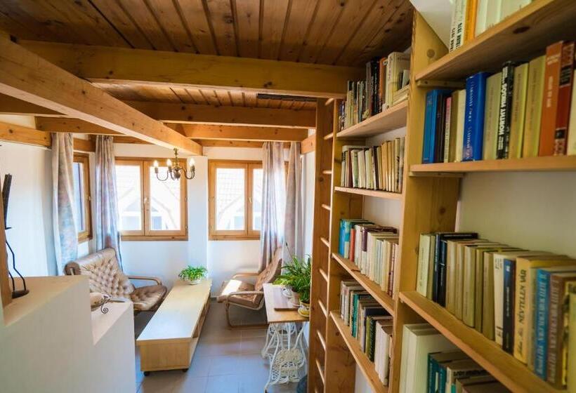 Squash Apartments & Studios