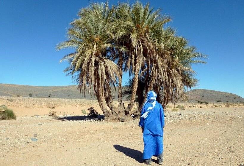 تختخواب و صبحانه La Vallée Des Dunes   Auberge, Bivouacs Et Excursions