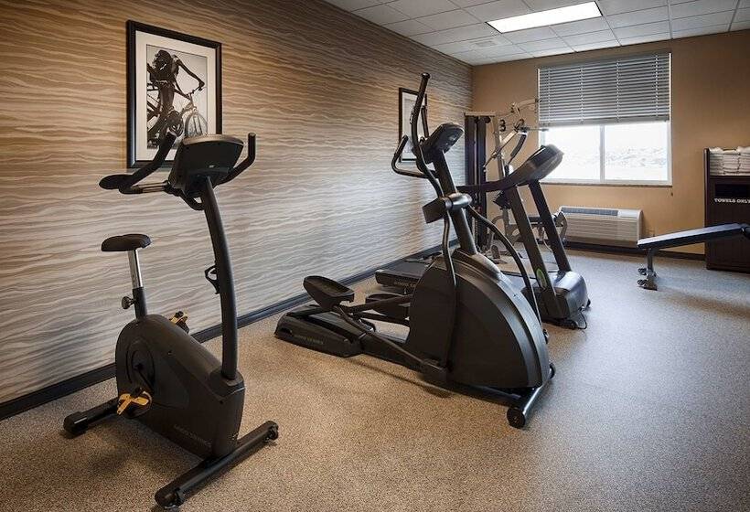 בית מלון כפרי Best Western Plus Havre Inn & Suites