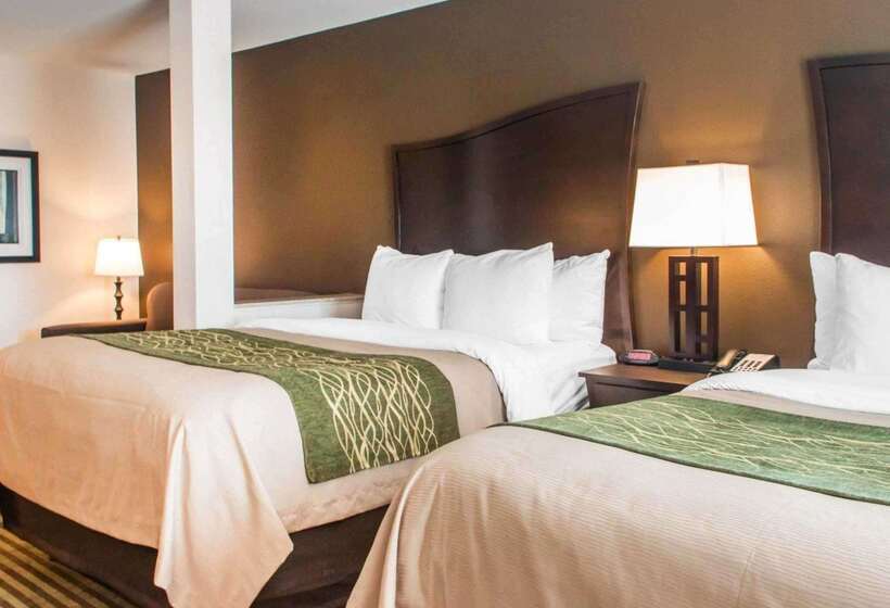ホテル Comfort Inn & Suites Woodward
