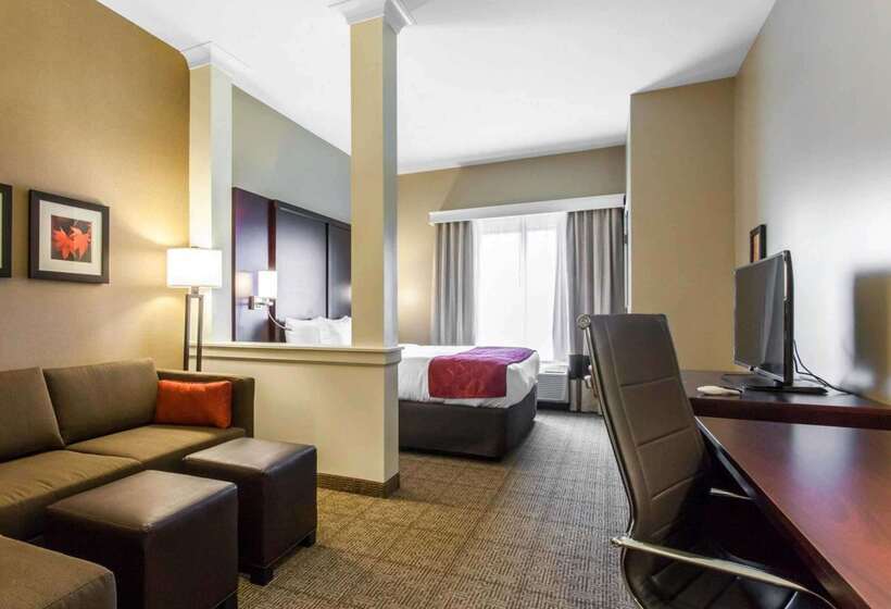 בית מלון כפרי Comfort Suites Youngstown North