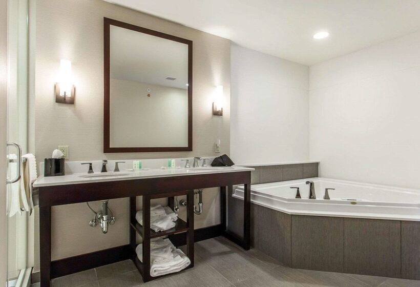 בית מלון כפרי Comfort Suites Youngstown North