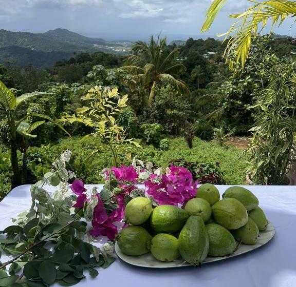 تختخواب و صبحانه Blu Vista Cottages