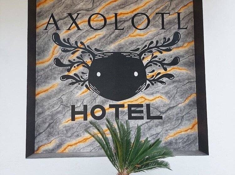 هتل Axolotl
