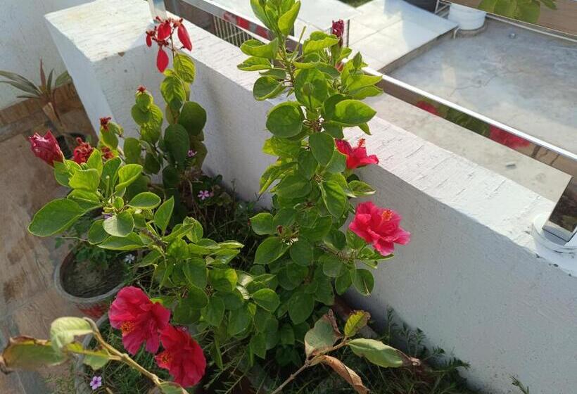 호텔 Hare Krishna Ambiance Vbn