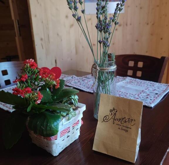 Choco B&b
