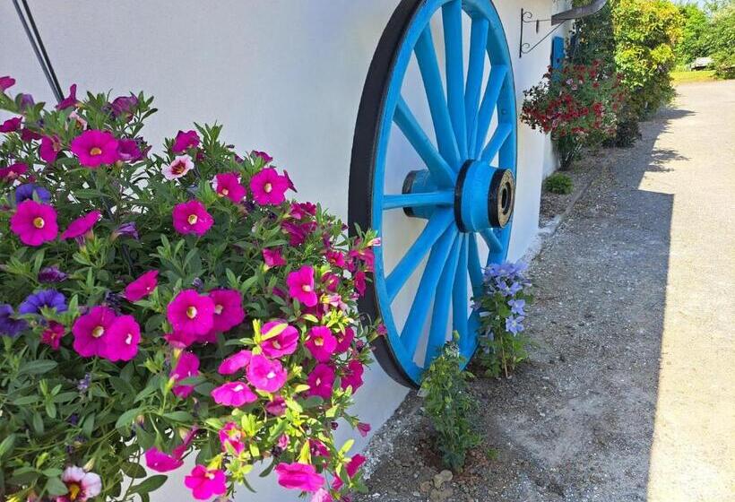 بنسيون La Suite D élise