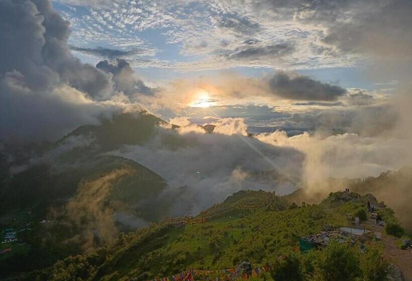 ホテル The Sapling Manor