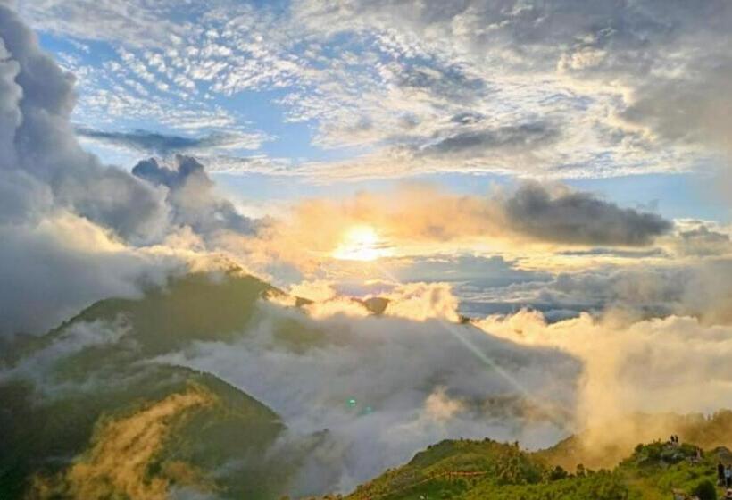 ホテル The Sapling Manor