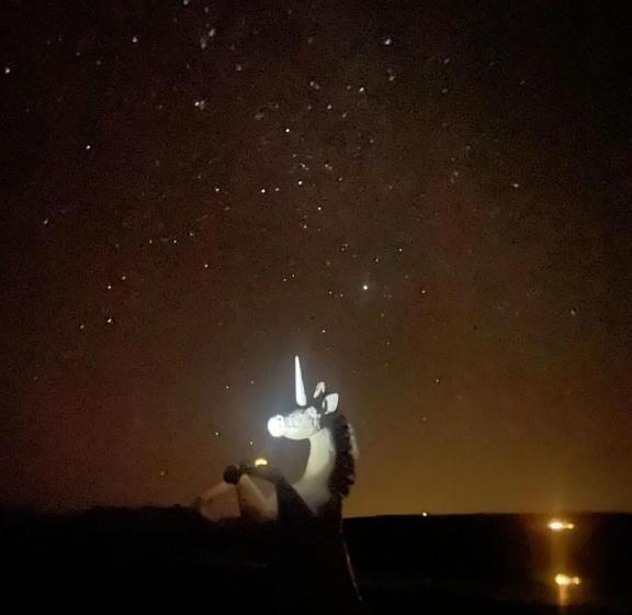 בית מלון כפרי Alchemy Retreat   Entire Karoo Guest Farm   Barrydale