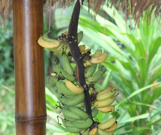 فندق Gecko Lipe Resort