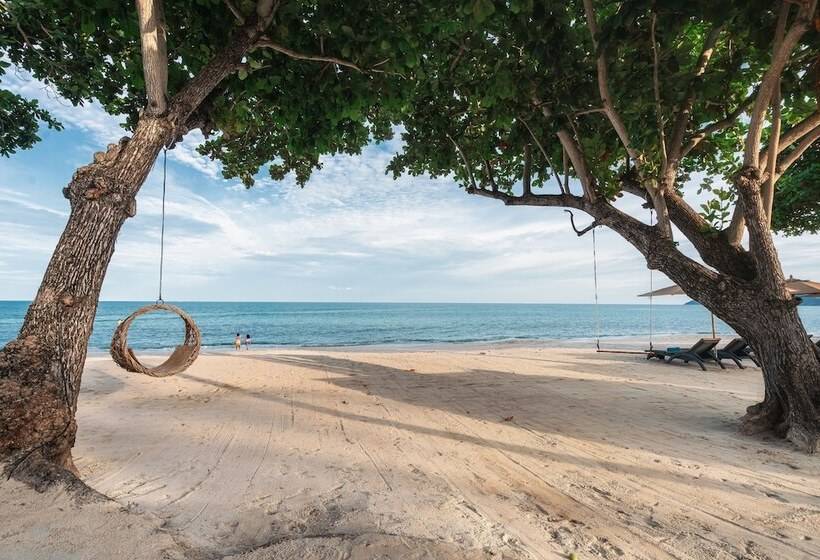 هتل King S Garden Resort   Sha Plus