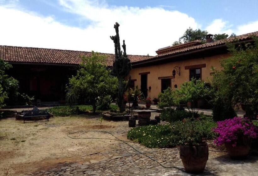 هتل Meson De San Antonio