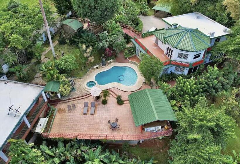 پانسیون Pancho S Paradise   Rainforest Guesthouse With Pool, Gazebo And View