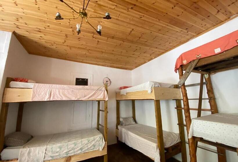 Shotgun Hostel & Guesthouse
