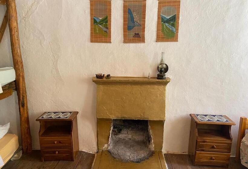 Shotgun Hostel & Guesthouse