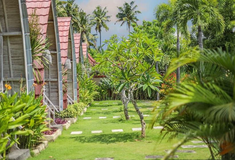 膳宿费 Daghan Cottage Nusa Penida