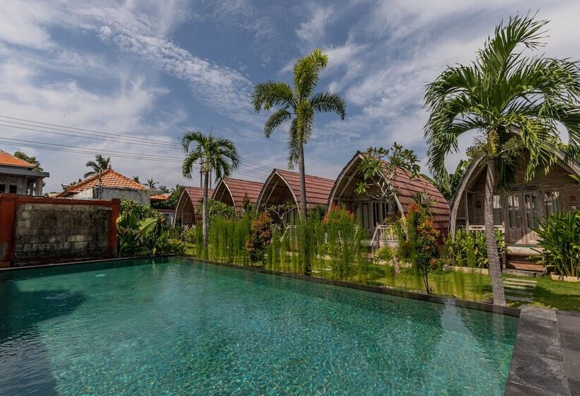 膳宿费 Daghan Cottage Nusa Penida