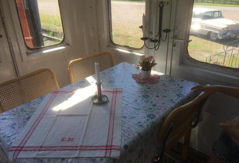 膳宿费 Sovpå Tåg I Tärnsjö