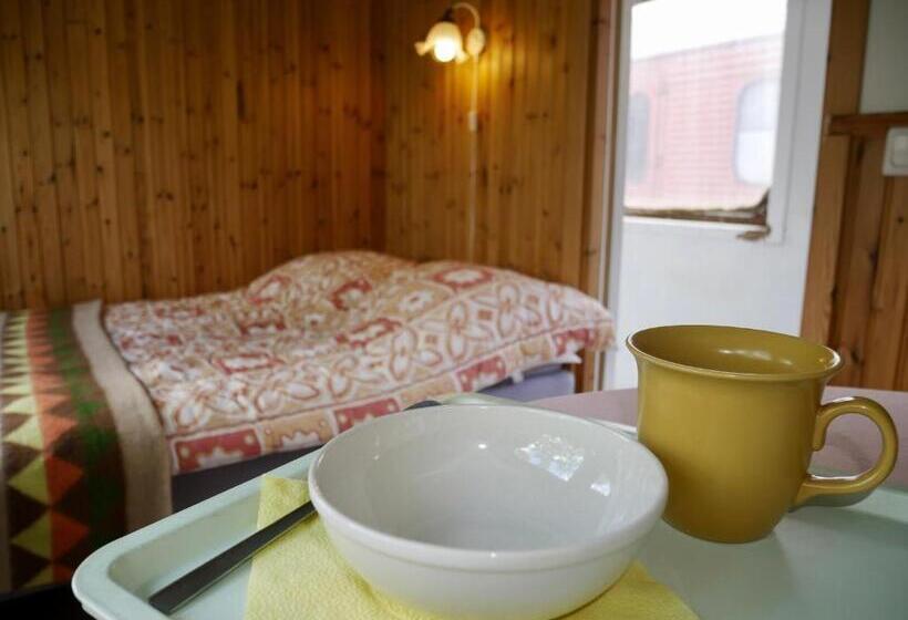 膳宿费 Sovpå Tåg I Tärnsjö