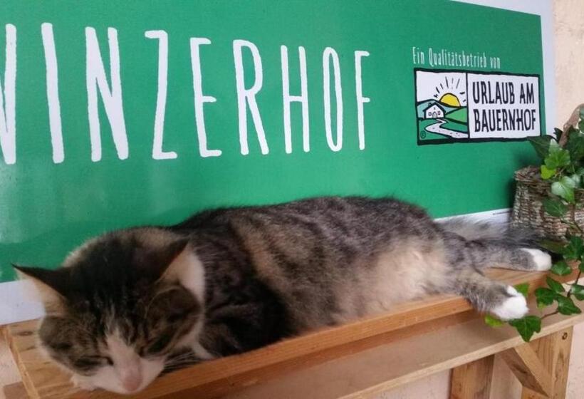 펜션 Winzerhof Fleischmann