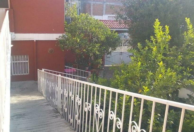 فندق صغير Casa Celia