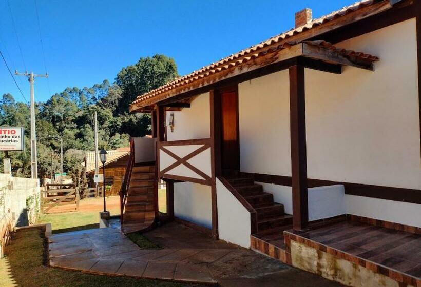 ユースホステル Pousada Caminho Das Araucárias