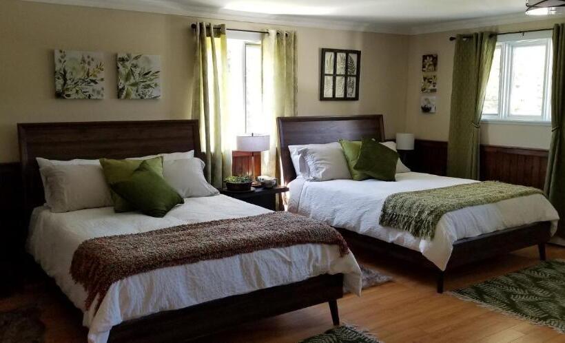 مبيت وإفطار Trinity Guest House