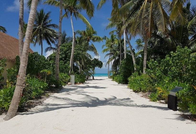 渡假胜地  Cinnamon Velifushi Maldives