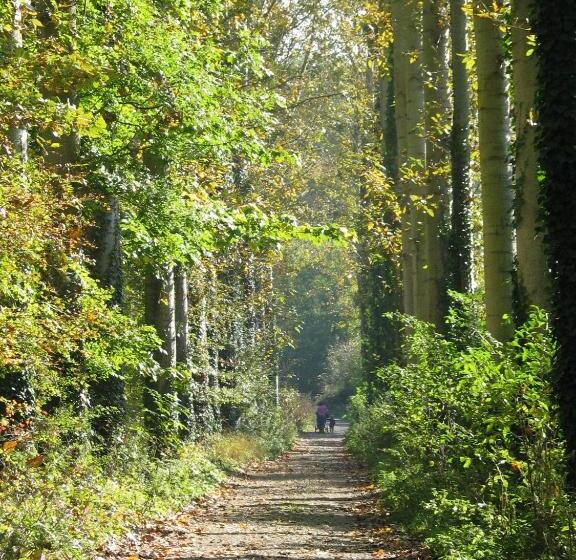 פנסיון Clairefontaine Chambre D Hôtes