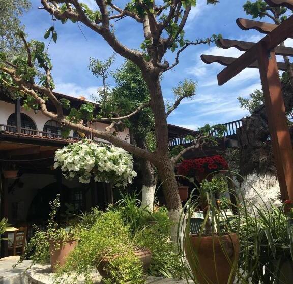 هاستل The Bunch Of Grapes Inn