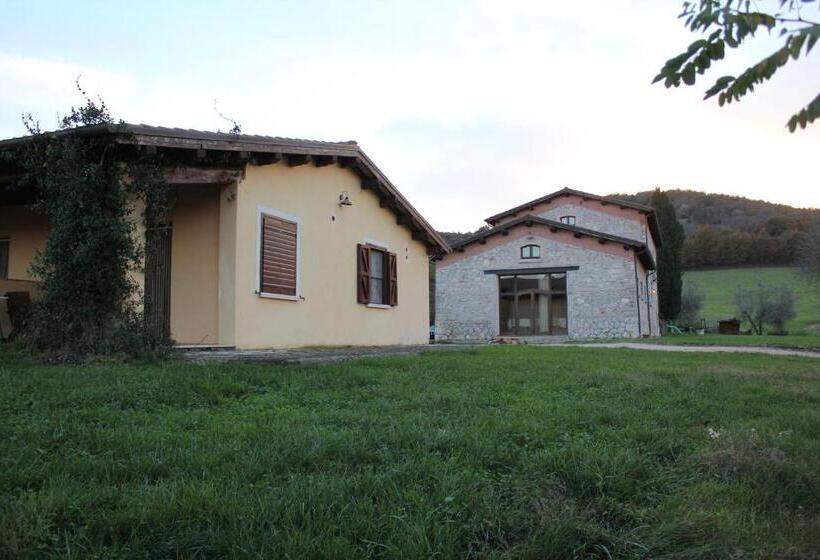 Отель Agriturismo Terre Di Musignano