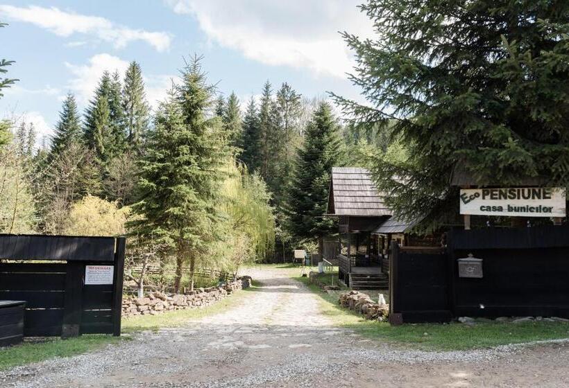 Pensiunea Casa Bunicilor