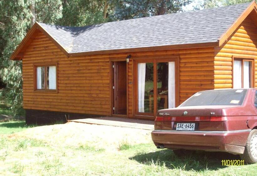 هتل Horacio Quiroga