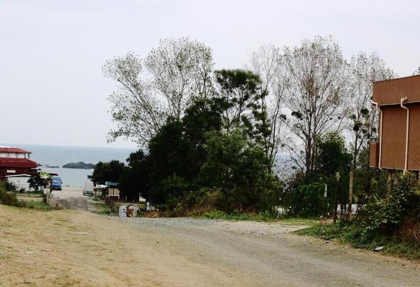 ペンション Tangra Guest House